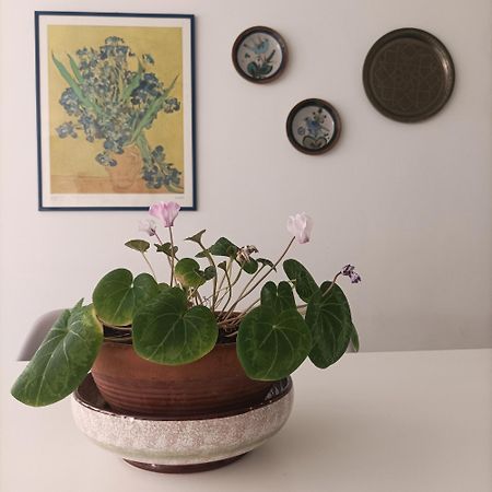 Fossolapietra26 Apartment Castel Di Sangro Bagian luar foto